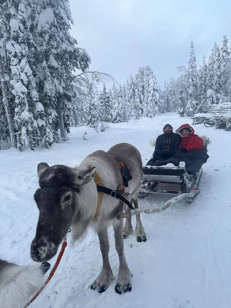 Reindeer sleigh ride