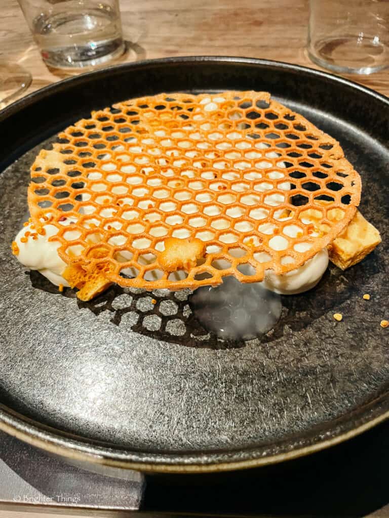 IMG 3791
