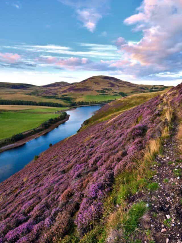 Beautiful landscape of scottish nature