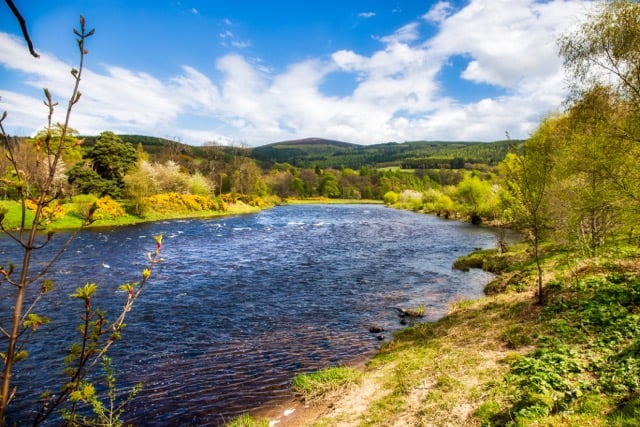 Depositphotos 207226624 Medium