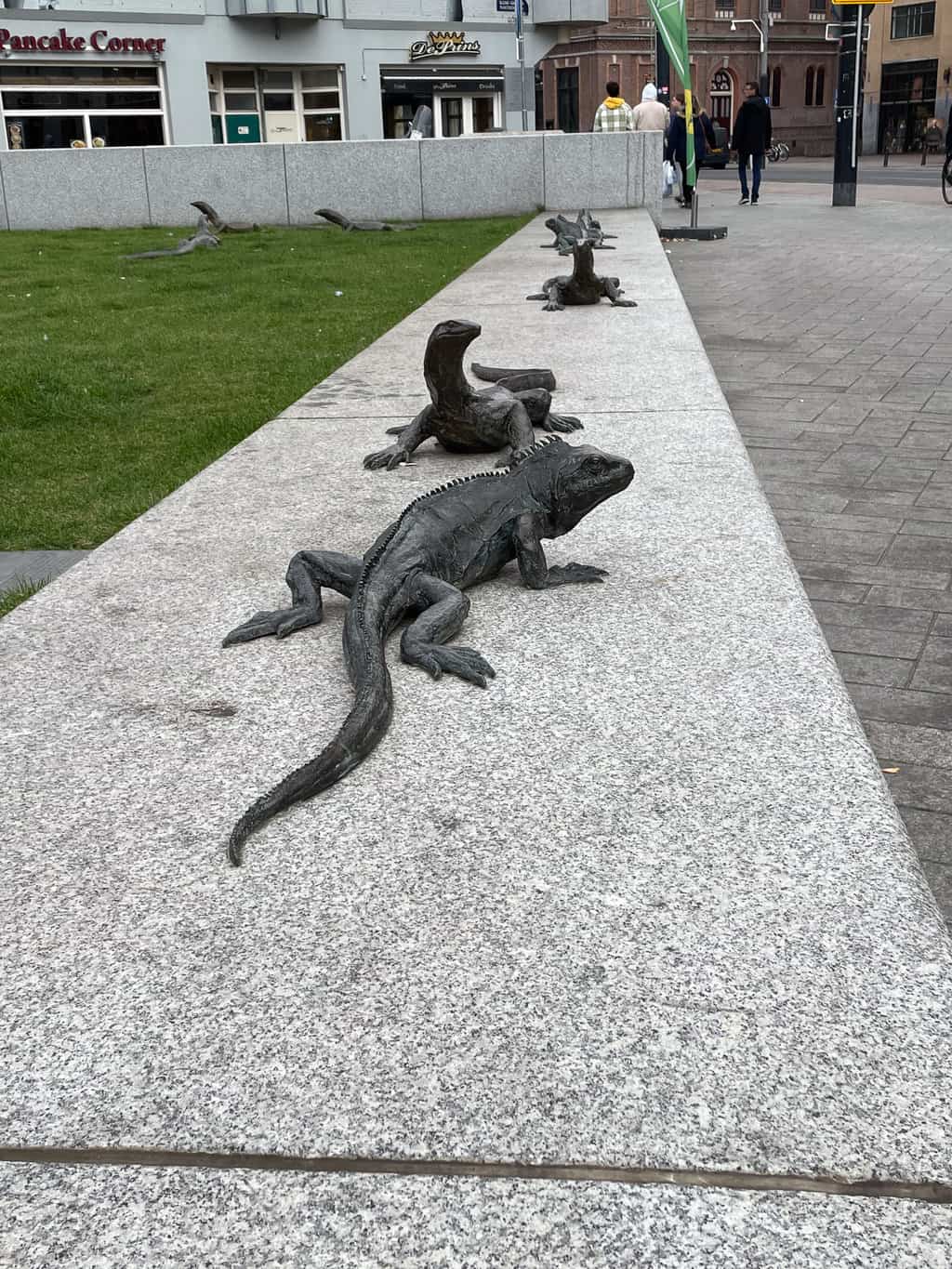 IMG 1753
