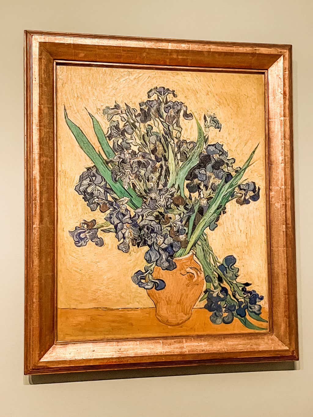 IMG 1948