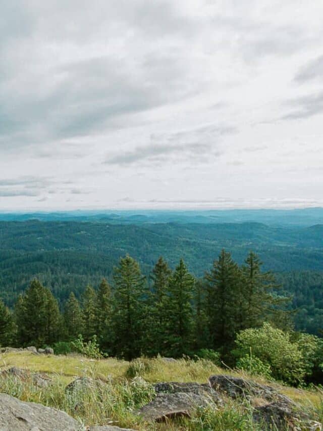 35mm film photo from the top of Spencer's Butte
