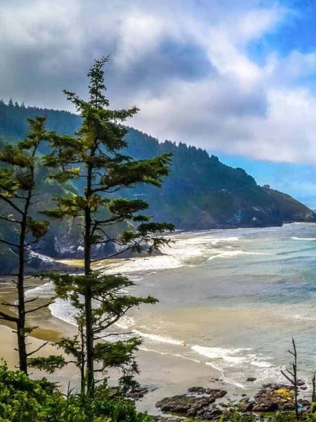 cropped-Oregon.jpg