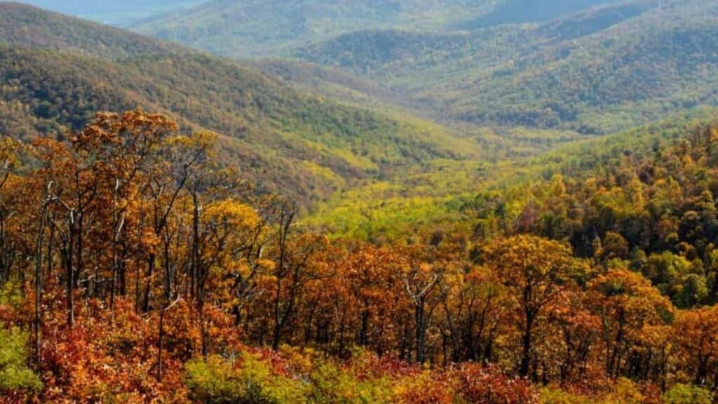 Autumn in the Shenandoah Mountains