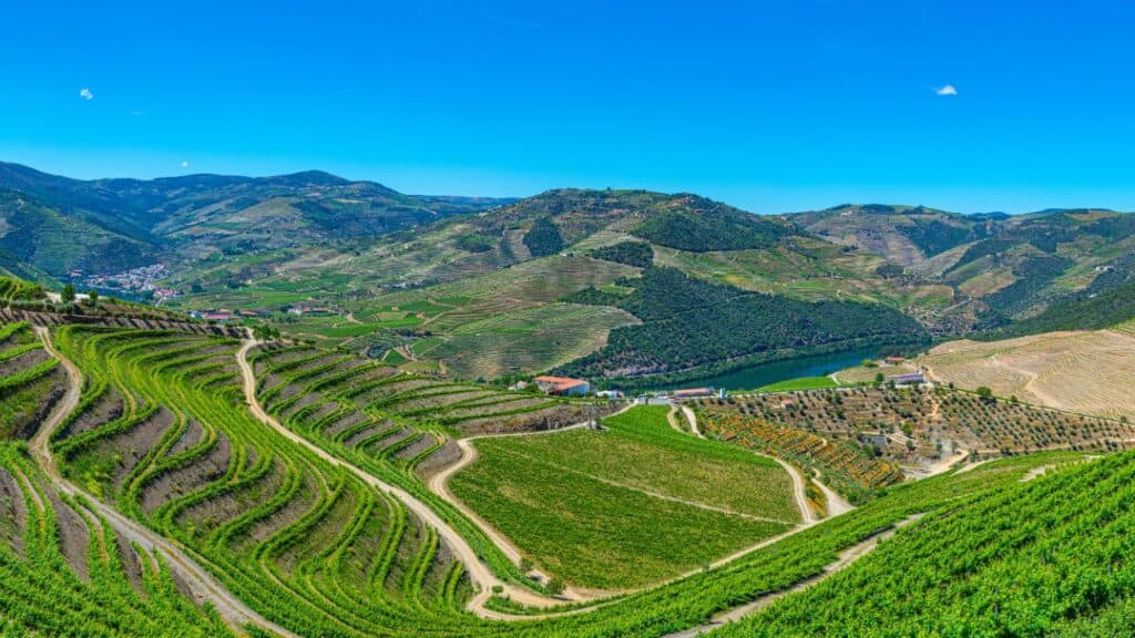Vineyards and villages at slopes of Douro Valley in Portugal