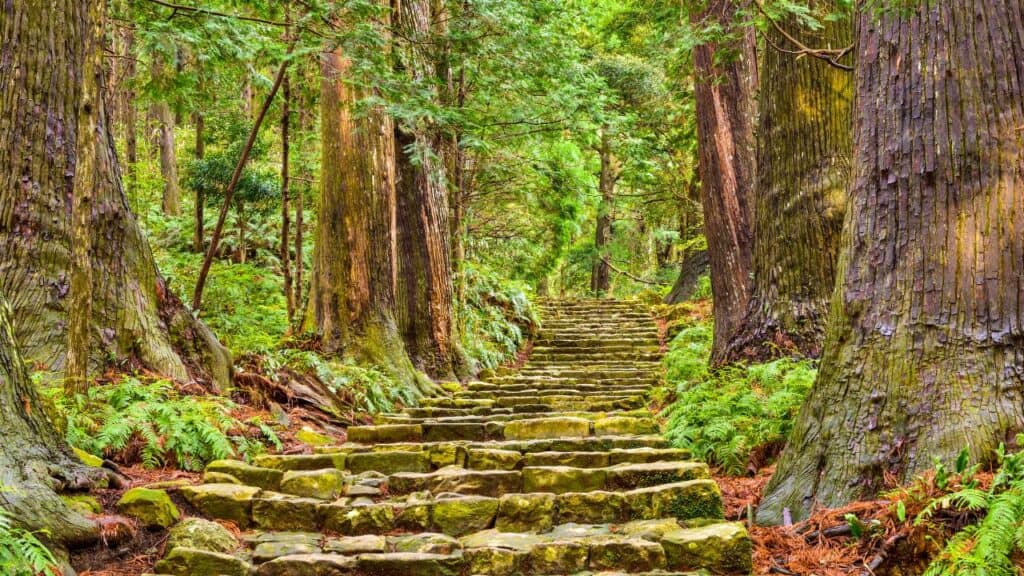 Kumano Kodo Sacred Trail