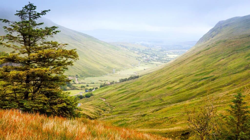 Rugged landscape at Glengesh Pass, County Donegal, Ireland. Beach with cliffs, green rocky land with sheep on foggy cloudy day. Wild Atlantic Way region.