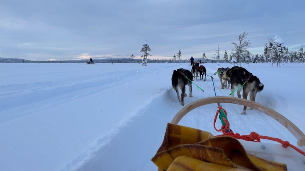 Dog sledding in Levi, Finland