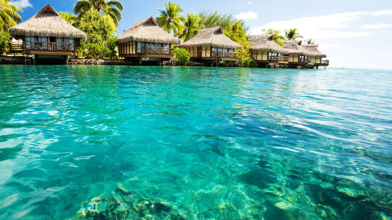 Over water bungalows with steps into green lagoon