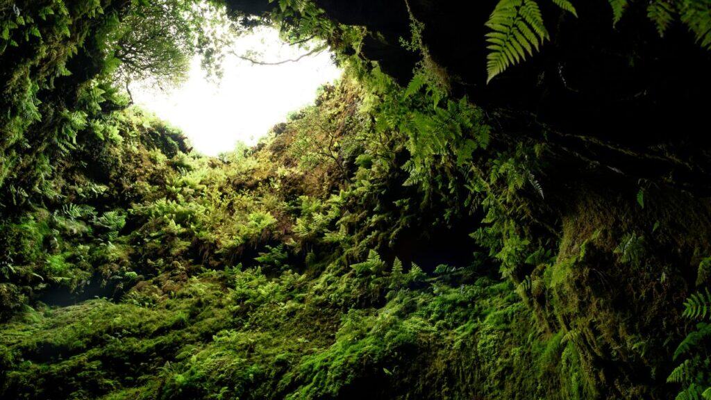 algar do carvalho, azores, Portugal
