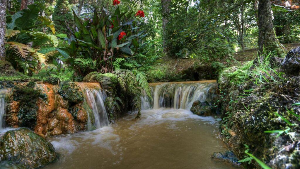 Pond in Terra nostra garden