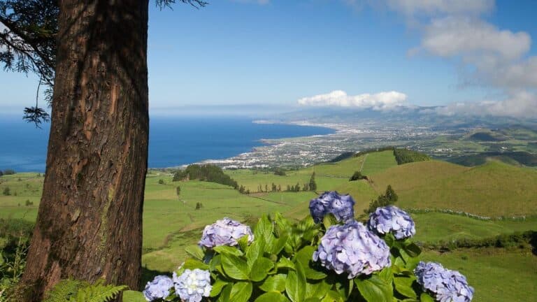 Aerial view to the city and valley Sao Miguel Island, Azores, Portugal