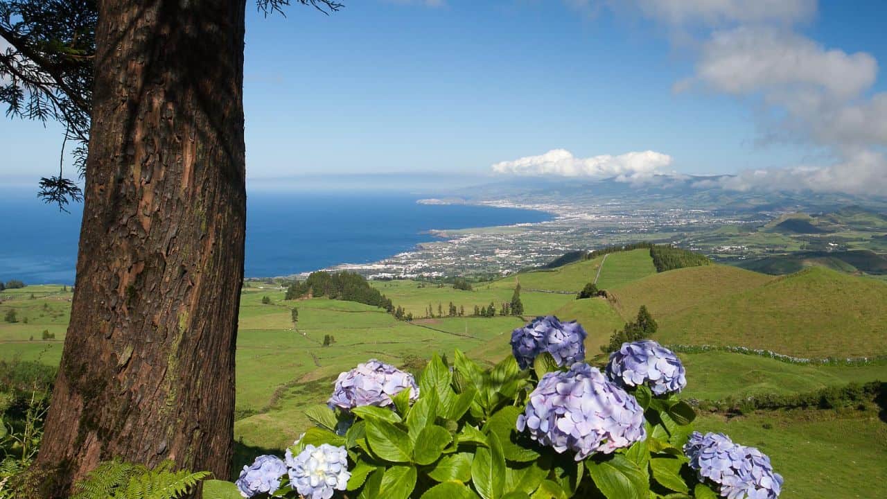 Aerial view to the city and valley Sao Miguel Island, Azores, Portugal